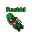 Rashid position